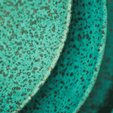 Fuente Oval Sauvage 38,6 X 39 Cm Vista Alegre