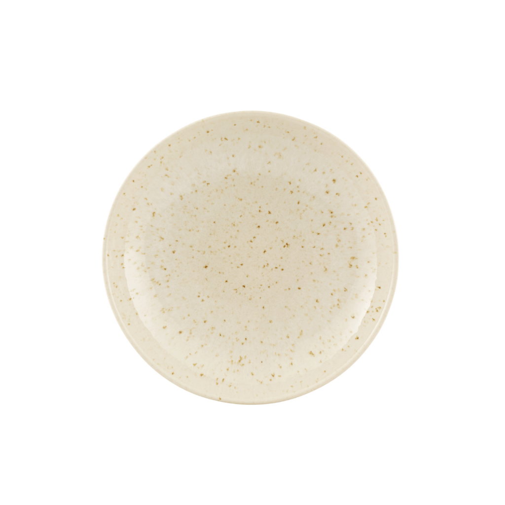 Plato De Pasta Sandstorm 22 Cm Vista Alegre