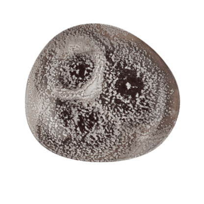 Plato Hondo Poliforma Island Onix 25 x 22.5 cm Cm By Bone